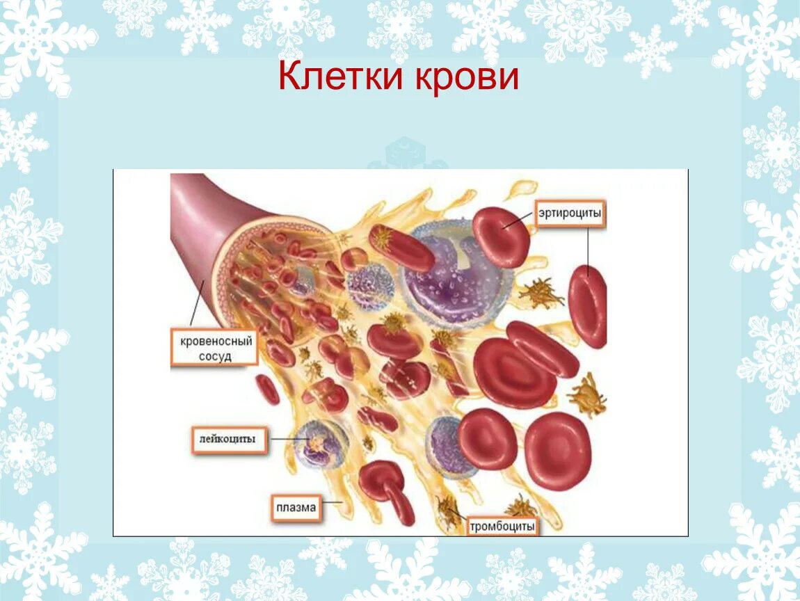 Кровь окружающий мир