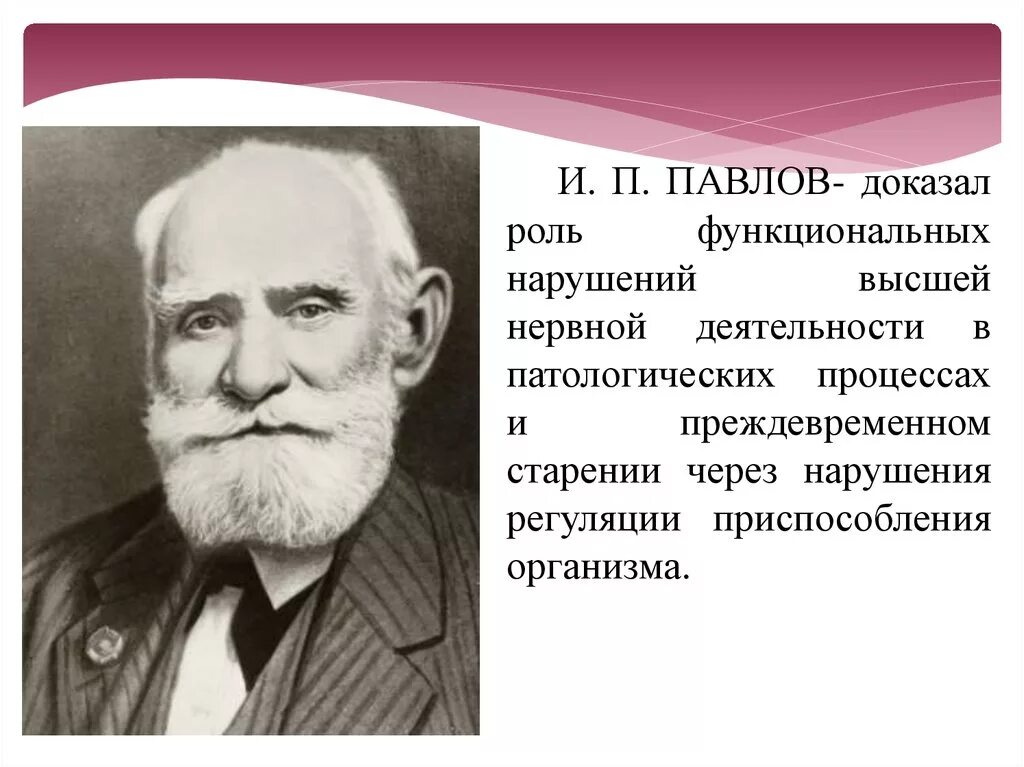 Теория и п павлова. И П Павлов теория старения. Павлов теория старения кратко. Теория старения Павлова. Теории старения Павлова кратко.