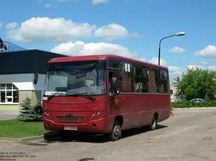 Автобусы сморгонь