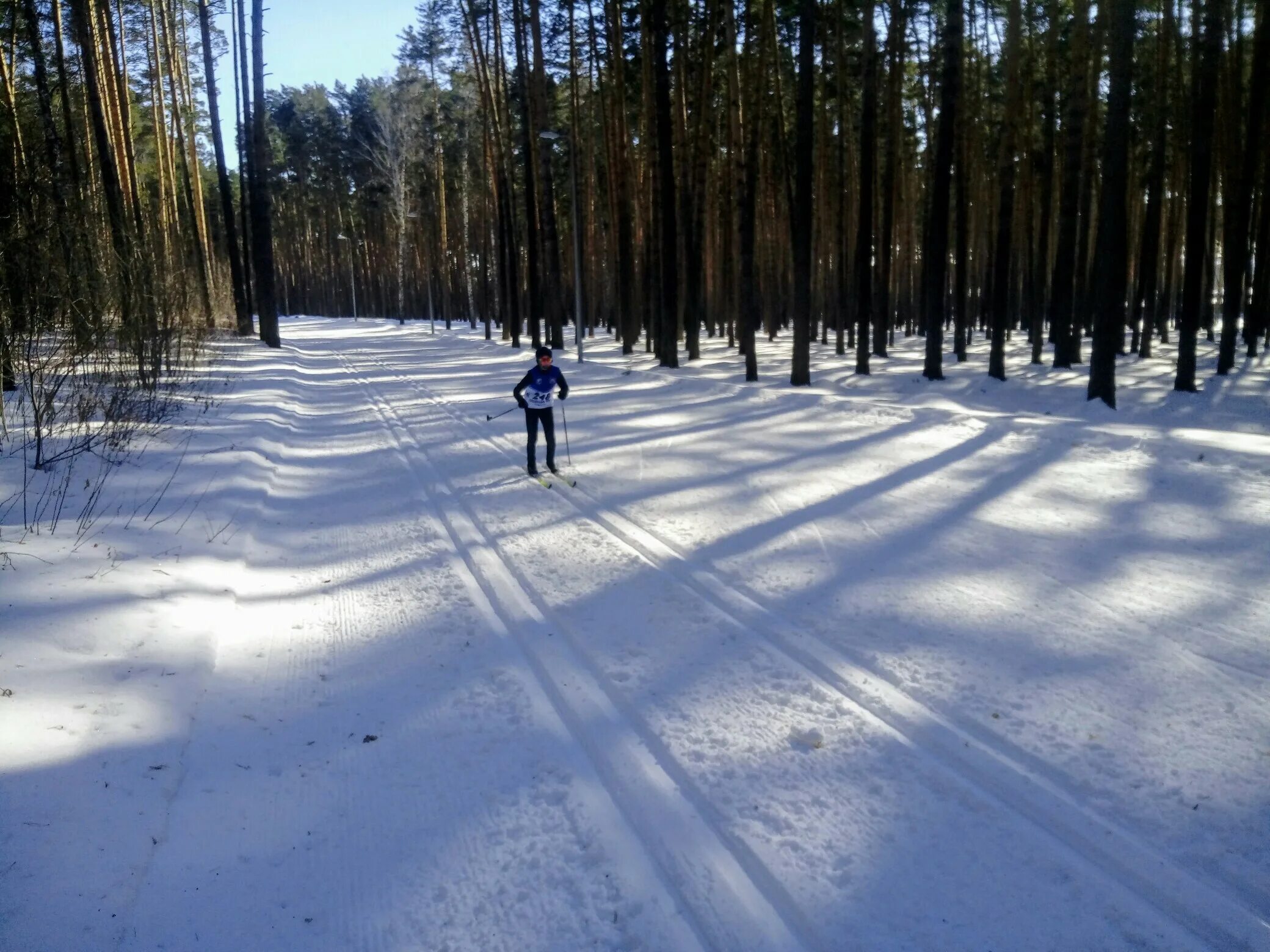 Лыжная трасса Заводоуковск. Заводоуковск Тюменская область лыжная база. Санаторские горки в Заводоуковске. Сосновый Бор Заводоуковск.