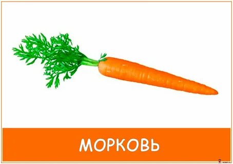 Звук морковка