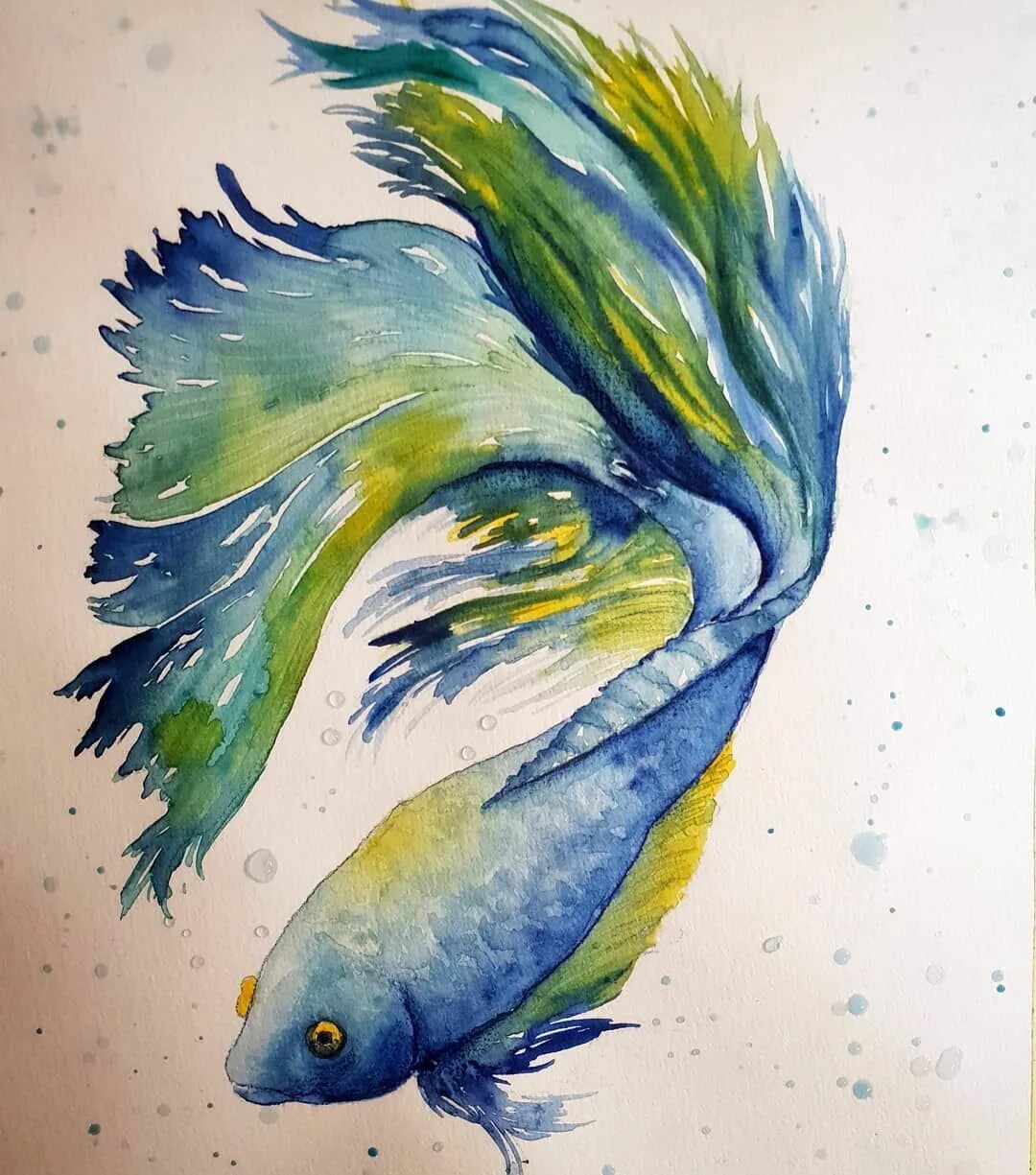 Рыбки акварелью. Карп кои вуалехвост. Золотая рыбка. Акварельные рыбки. Японские рыбки акварель.