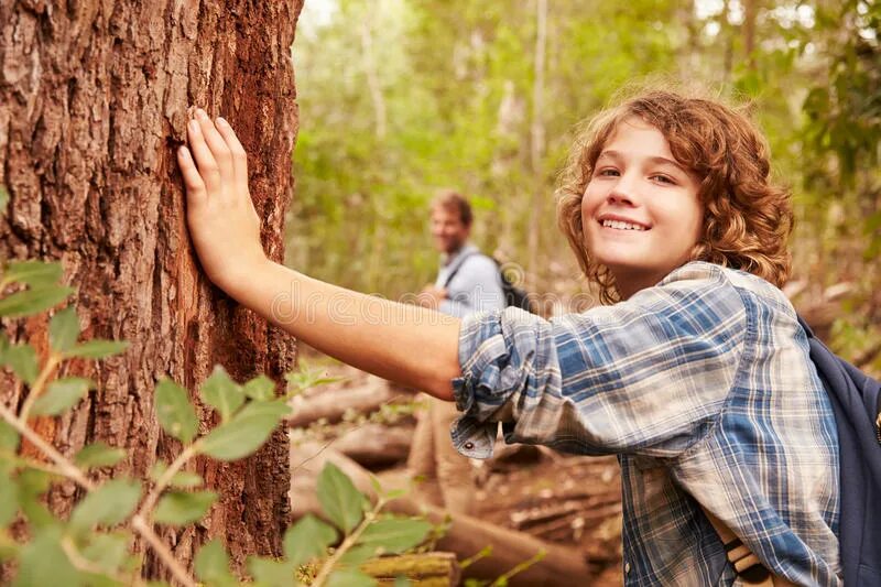 Коснуться дерева. Boys in the Trees. Zaicik i malcik v lesu. Boy touching