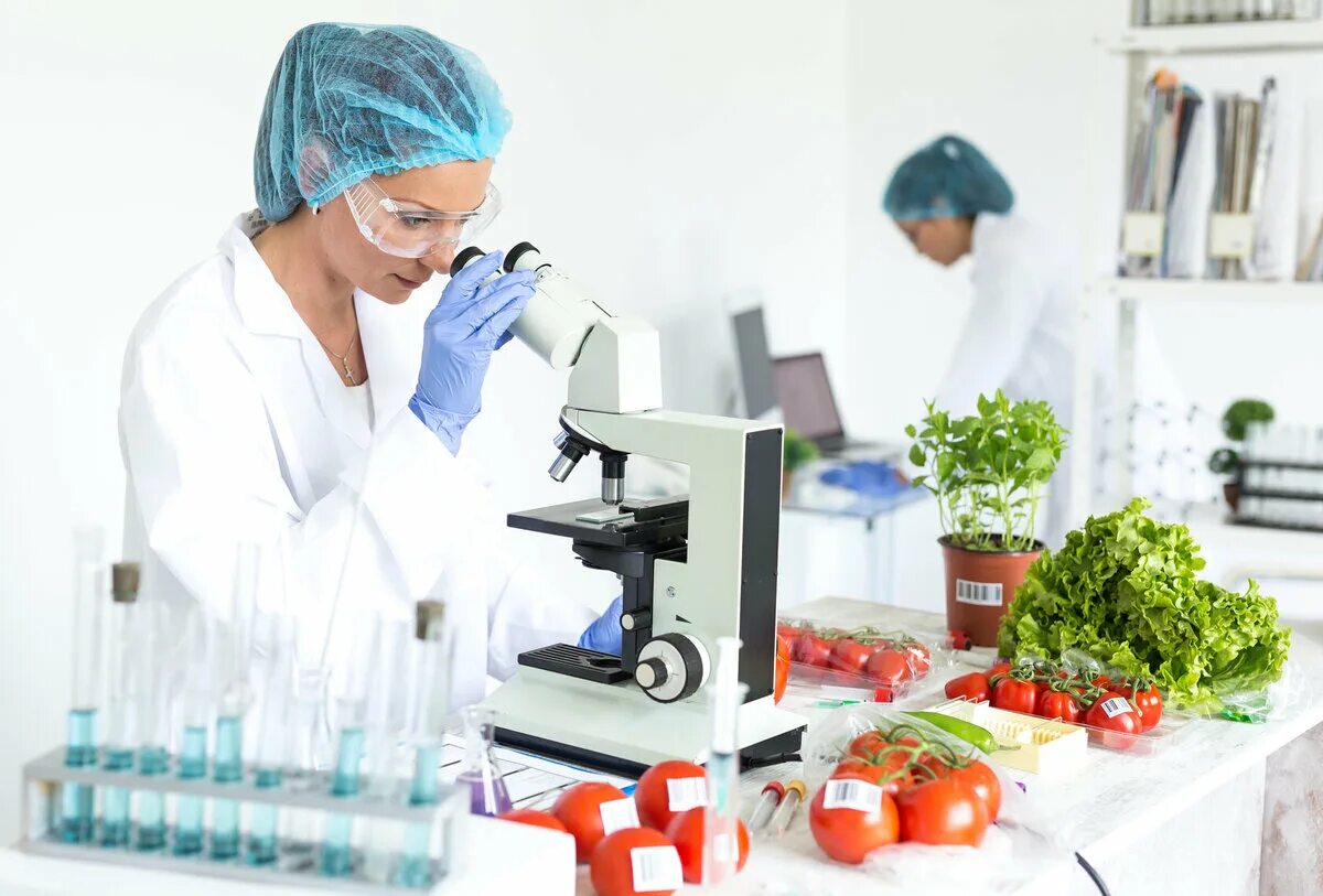 Контроль продуктов питания