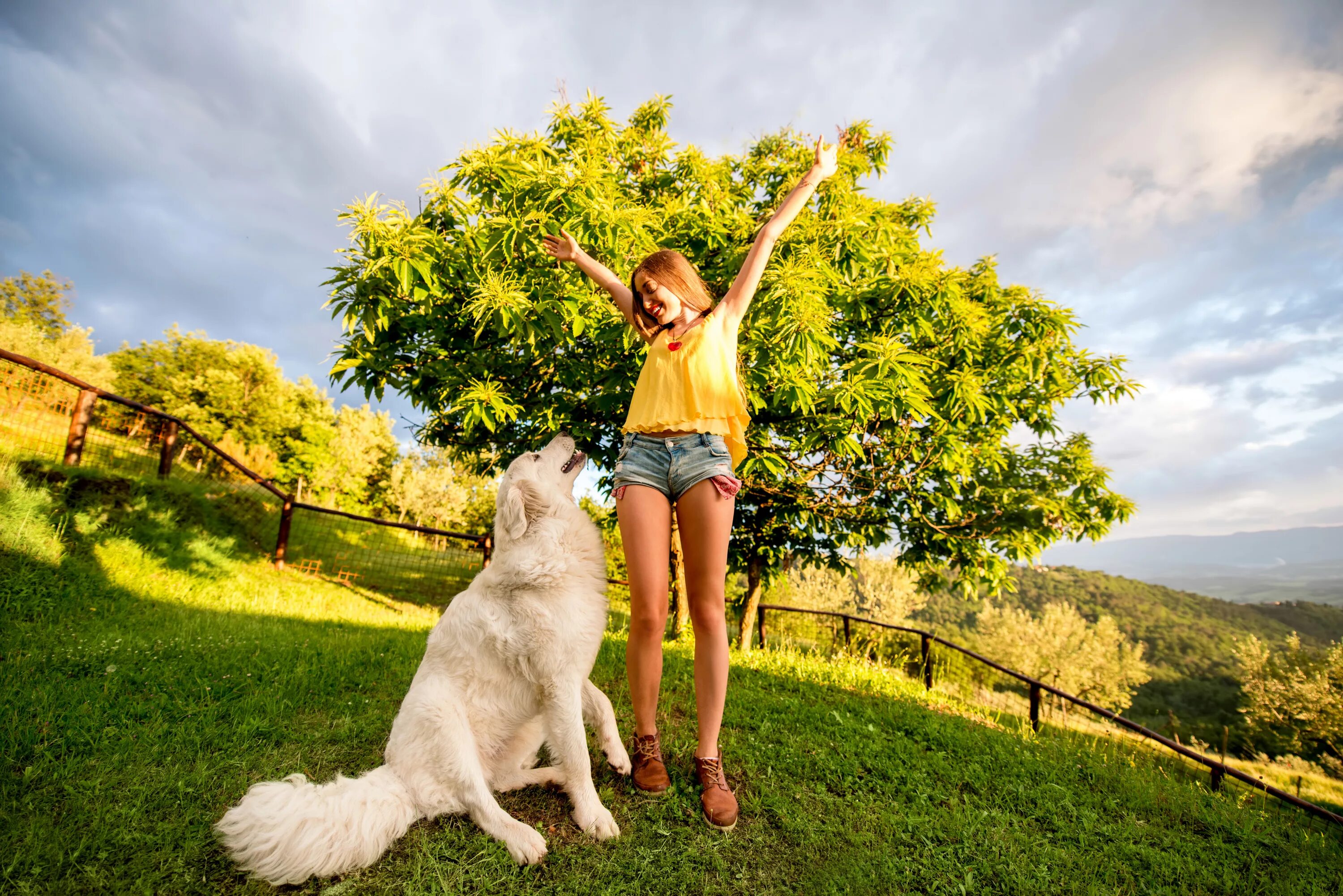 Woman with animals. Фотосессия с собакой летом. Девушка с собакой. Фотосессия с собакой на улице летом. Фотосессия с собакой в поле.