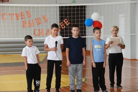 Школы александровска