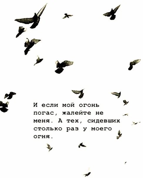 Меня столько раз ранили. И если мой огонь погас жалейте не меня а тех. И если мой огонь погас жалейте не меня а тех сидевших столько раз. Когда погаснет мой огонь жалейте не меня. Мой огонь погас.