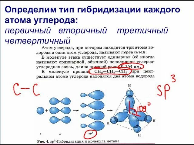 Тип гибридизации углеродных атомов