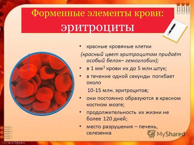 Почему какую кровью
