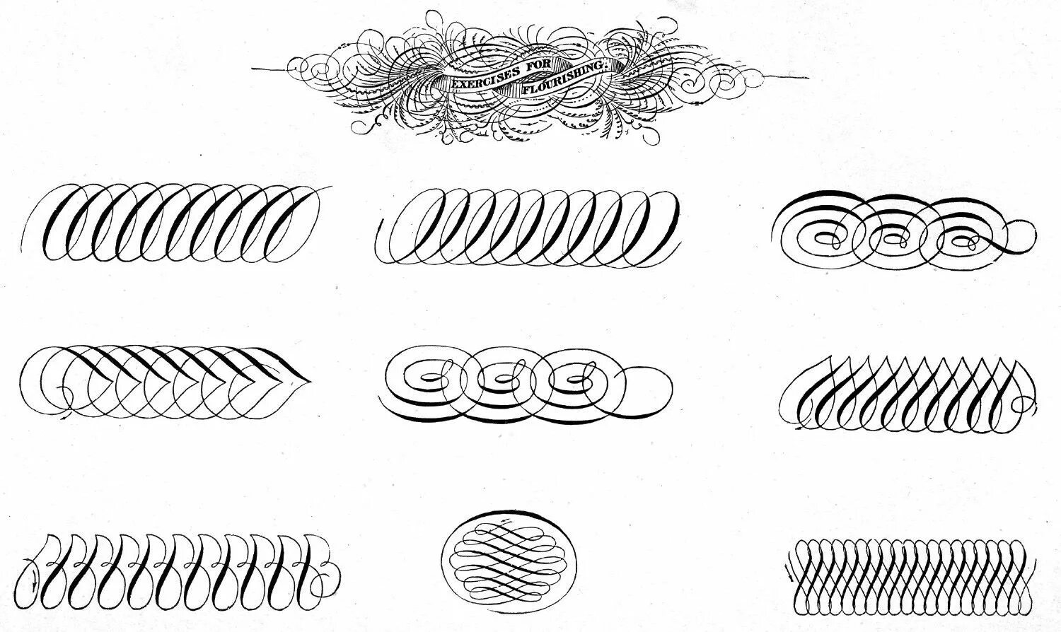 Завитушка из под пера 7. Упражнения для каллиграфического почерка пером. Каллиграфические узоры. Упражнения для Кали графии. Узоры по каллиграфии.