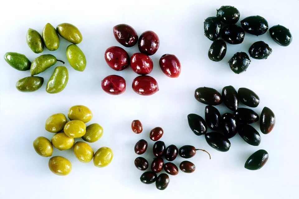 Olives. Сорта маслин. Оливковое масло фрукт или овощ. Вид маслин. Большие маслины.