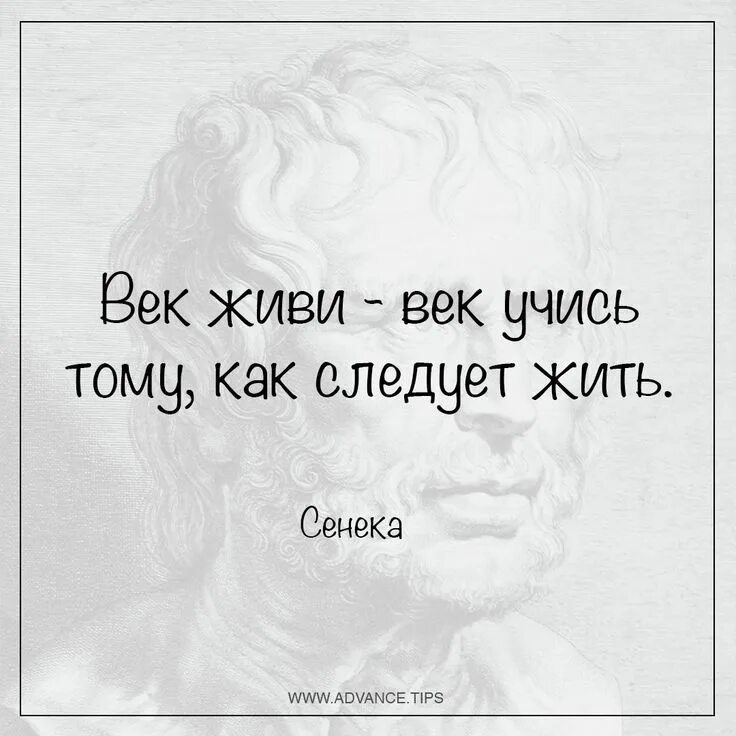 Век живи век учись как жить. Век живи век учись Сенека. Высказывания век живи век учись. Век живи век учись цитаты.