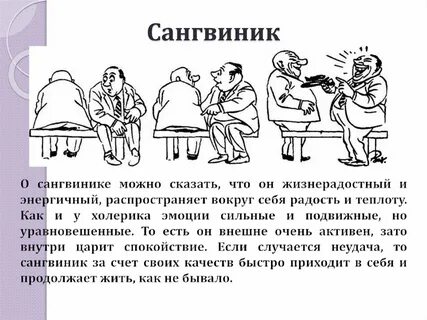 Описание человека сангвиника