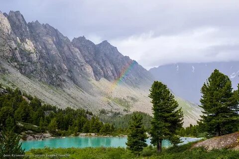 Алтайский край какая сибирь
