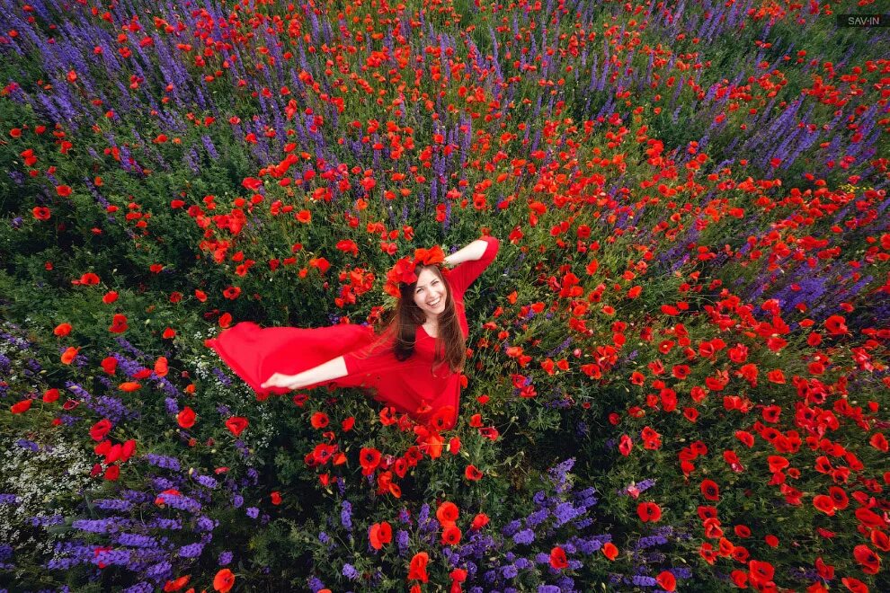 Девушка украинка на поле с маками. Цветочное безумие. Розовые цветы в полях крыма. Бенелюкс, ул. Розовые поля в крыму.