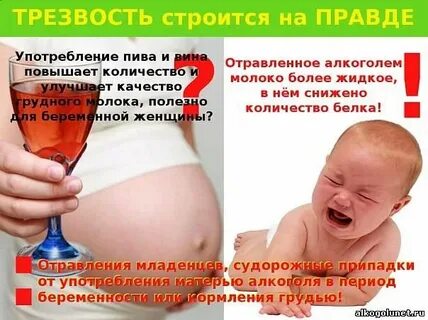 Выпивать при грудном вскармливании