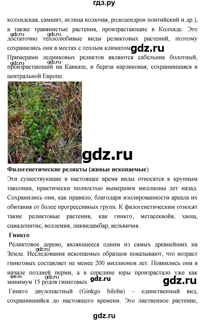 Биология рт параграф 2. Параграф по биологии 5 класс. Биология 6 класс 5 параграф пасечник. Параграф 9 биология 6 класс конспект. Биология рт параграф 2.