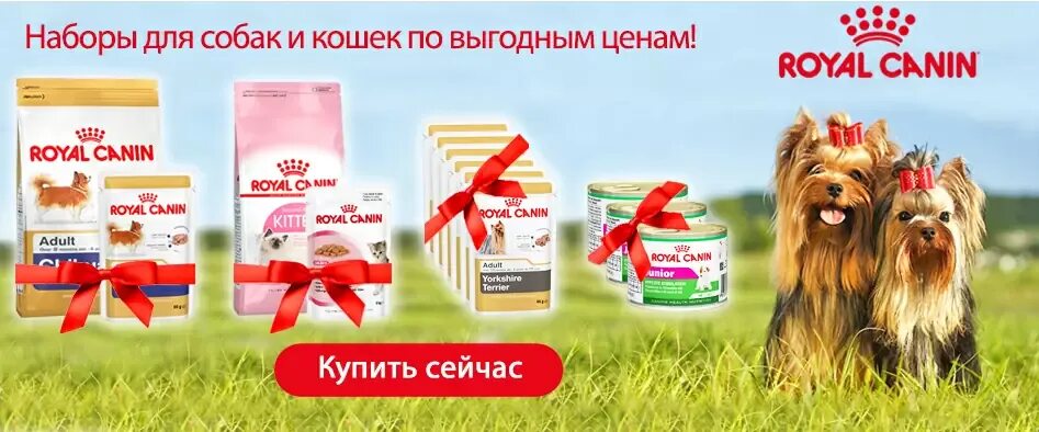 ЗООПАССАЖ интернет магазин корма для животных. ЗООПАССАЖ скидка. Набор Роял Канин. ЗООПАССАЖ Самара интернет магазин товаров для животных.