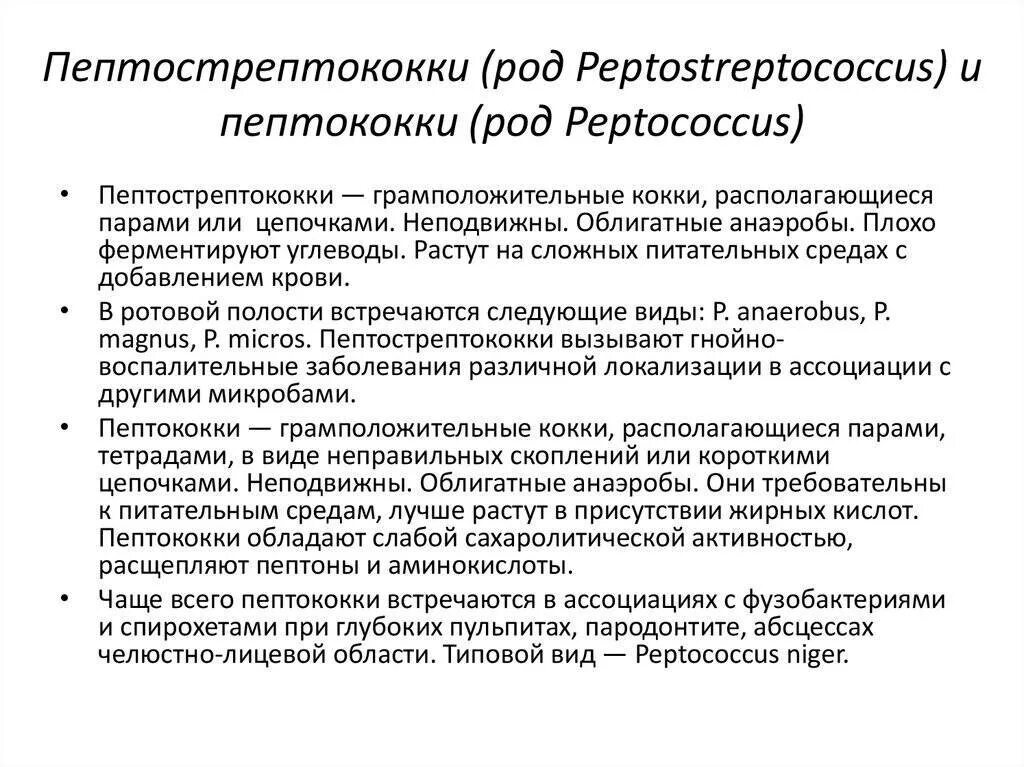 Peptostreptococcus spp