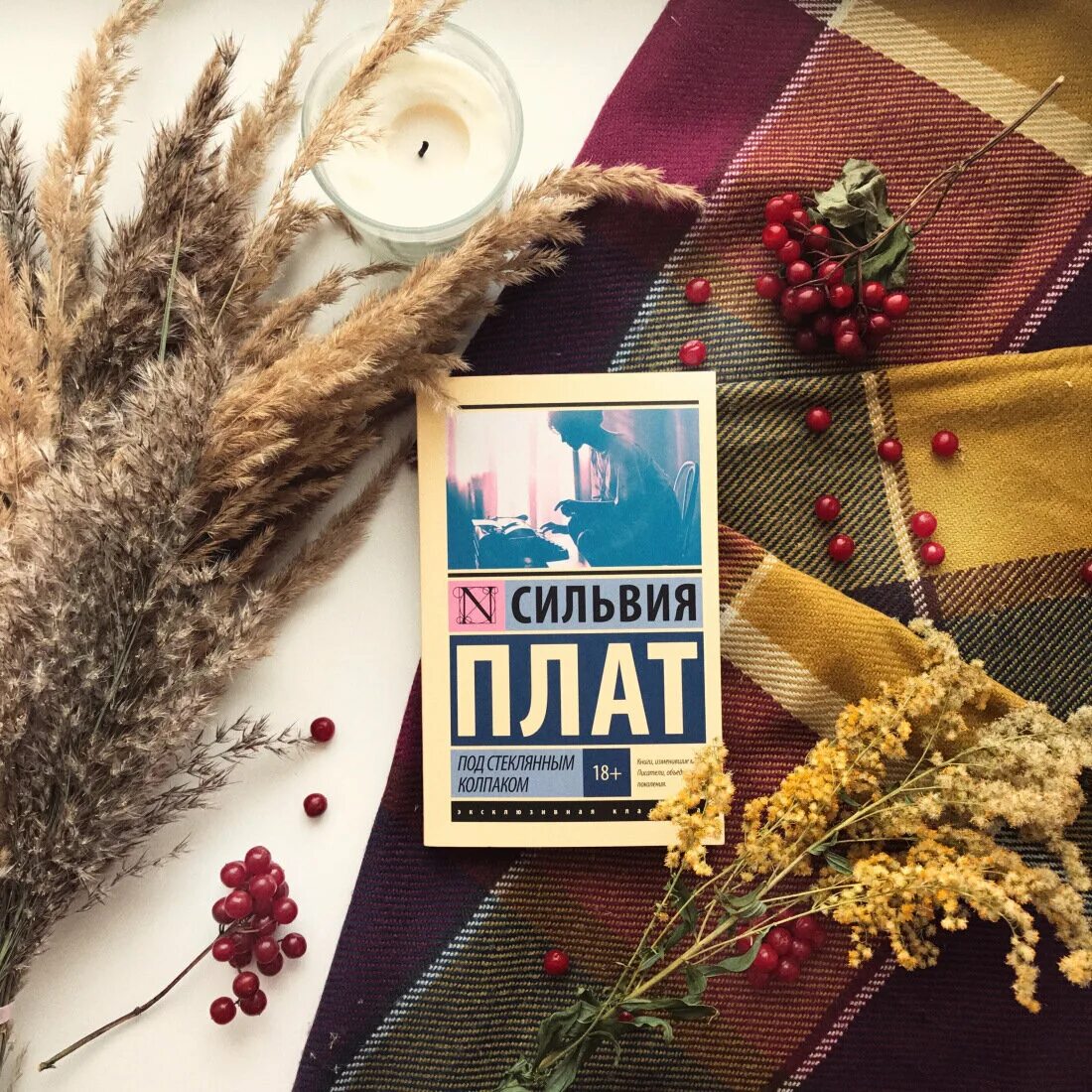 Под стеклянным колпаком читать. Плат под стеклянным колпаком.