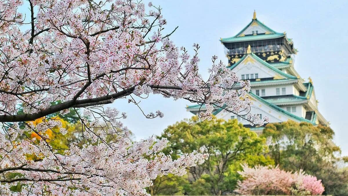 Japanese from