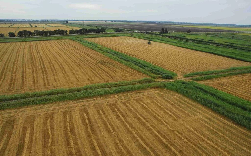 Земли сельскох назначения. Сельскохозяйственный ландшафт. Сх угодья. Пахотные поля белоруссия. Великобритания пахотные земли.