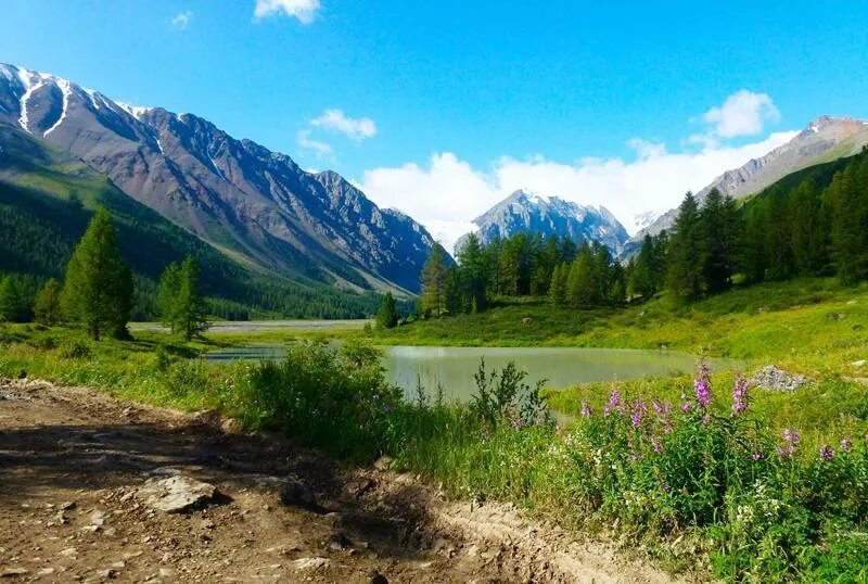 Отделение республики алтай. Золотые горы Алтая Республика Алтай. 2 Горы Алтай. Золотые горы Алтая Алтайский и Катунский заповедники. Золотые горы Алтая Белуха.