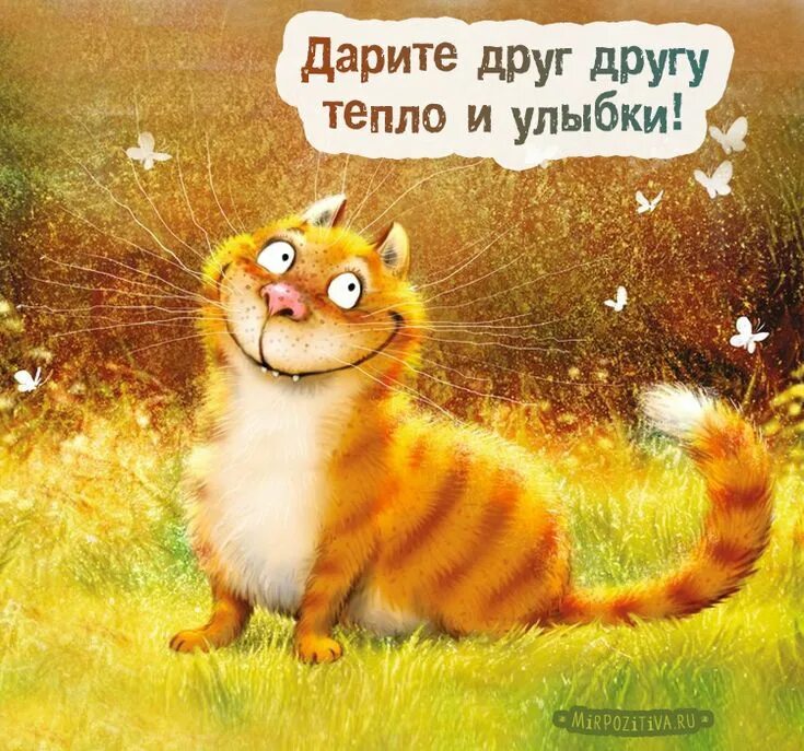 Веселую позитивную картинку