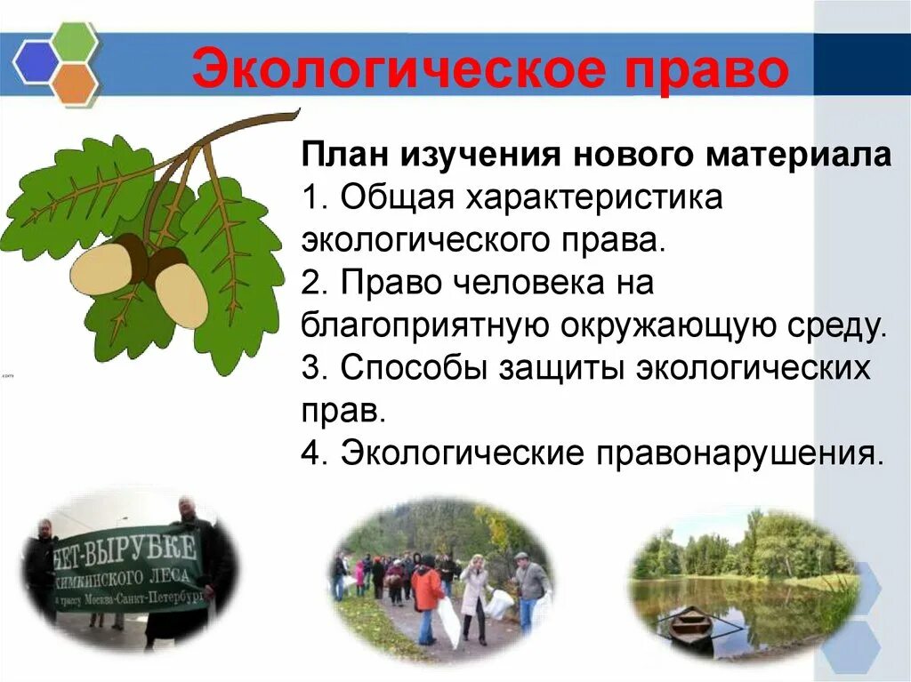 Право на экологическую и окружающую среду. Экологическое право презентация. презентация на тему экологическое право.