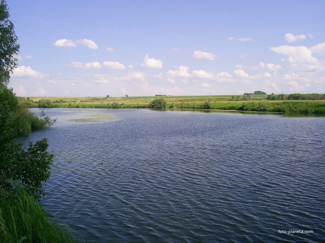 Река алей Алтайский край Алейск. Алей (река) реки Алтайского края. Зеленая Поляна Алейский район озеро. Бахматовское озеро Алтайский край. Алей алтайский край