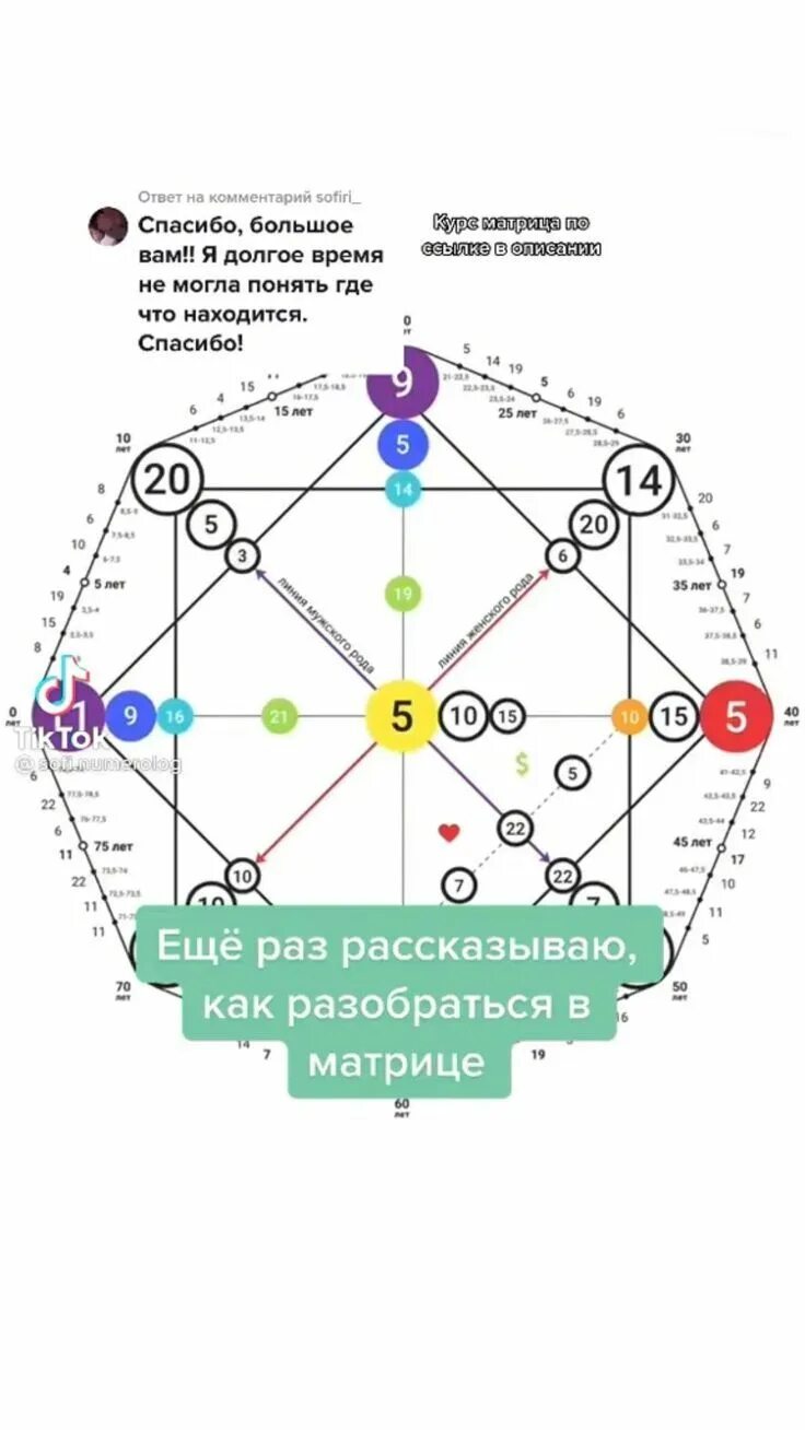 Арканы матрица в матрице судьбы. Аркан в матрице судьбы рассчитать. Карта Арканов матрица. Таро нумерология матрица судьбы. Матрица судьбы как разобраться