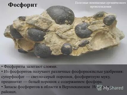 Воронежский массив полезные ископаемые