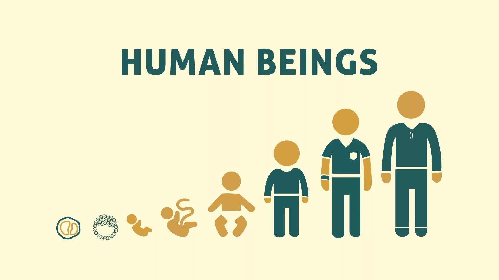 Human Life. In a Human Life. Human Life International. We are Human beings. Human beings 1