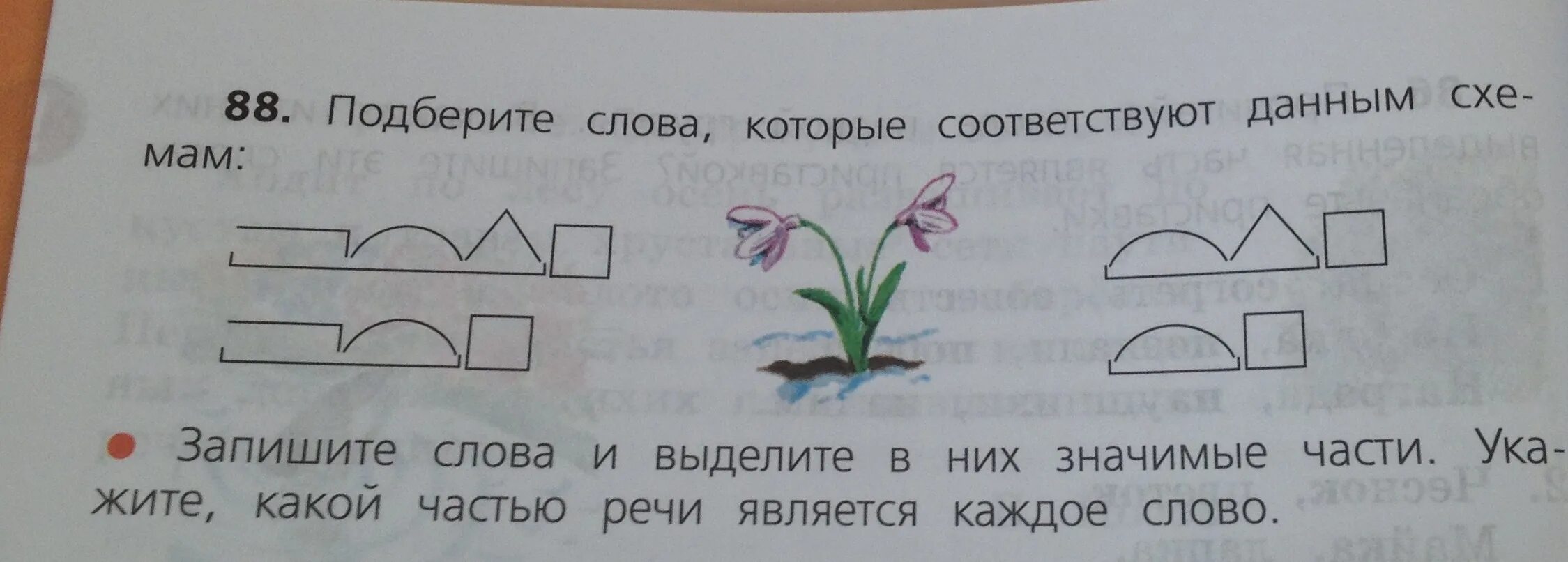 Подобрать слова к схеме. Слова которые соответствуют схеме. Слова соответствующие схеме. Подбери слова к схемам. Подбери к слову девочка