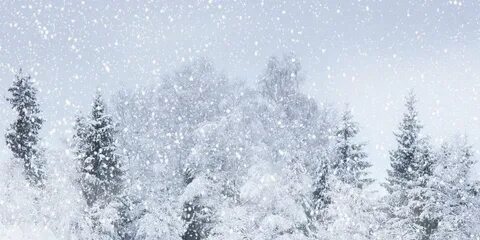 Метель присыпл т снежком изготовл нная