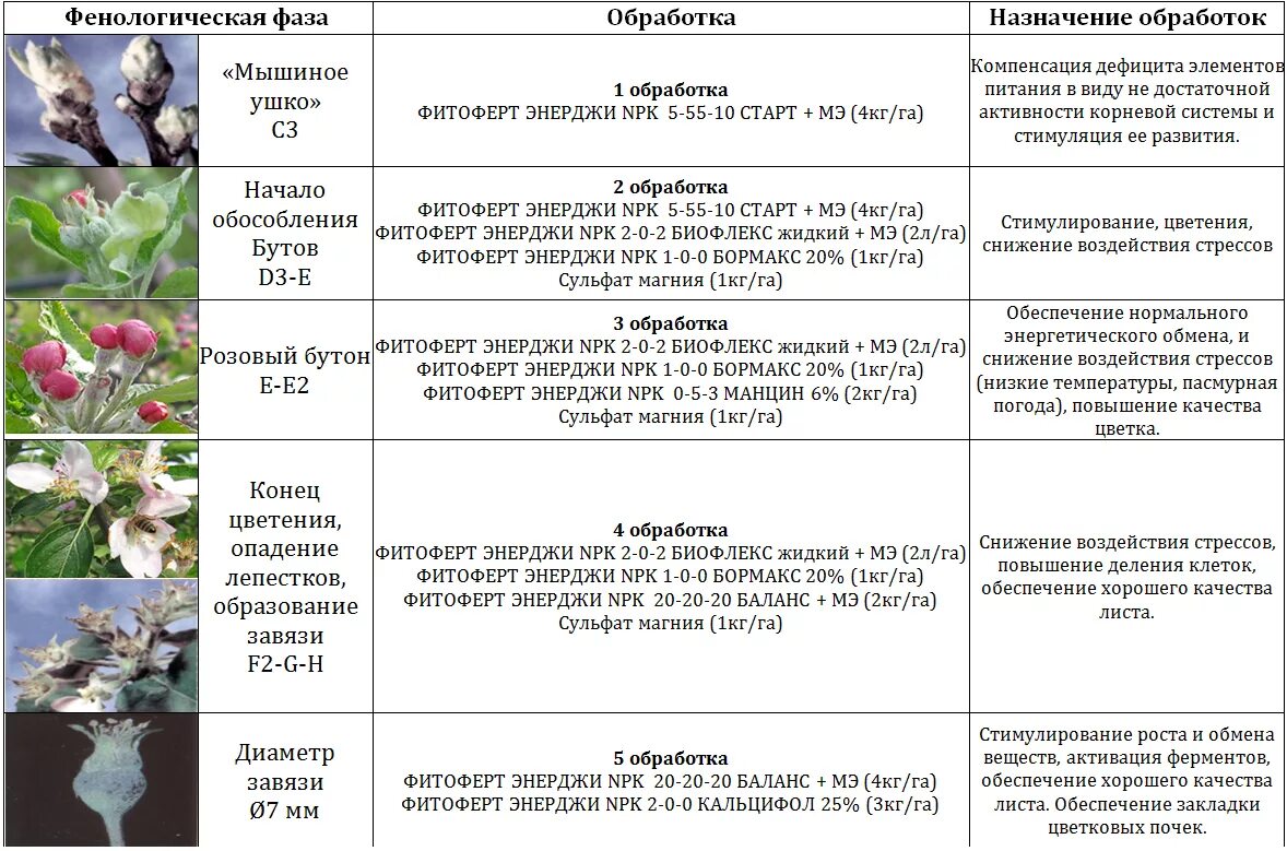 Обработка по розовому бутону