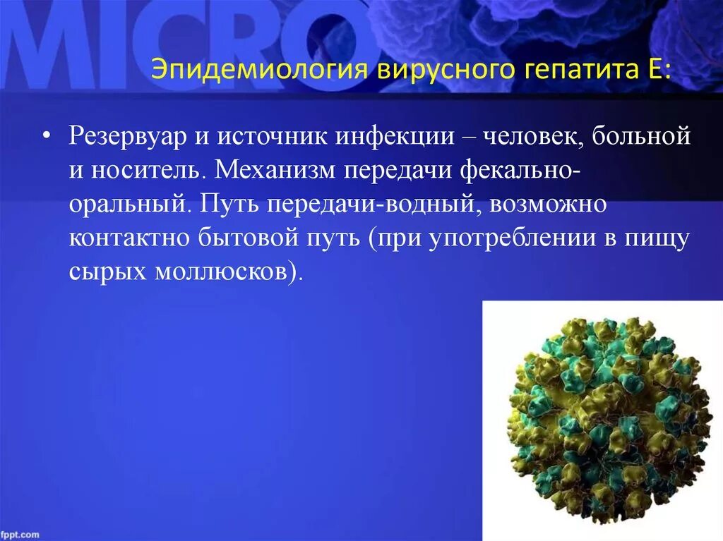 Какой гепатит инфекционный. Вирусный гепатит е эпидемиология. Вирусный гепатит е: эпидемиология, профилактика. Эпидемиология вирусных гепатитов с фекально-оральным механизмом а. Механизмы заражения вирусными гепатитами а и е.