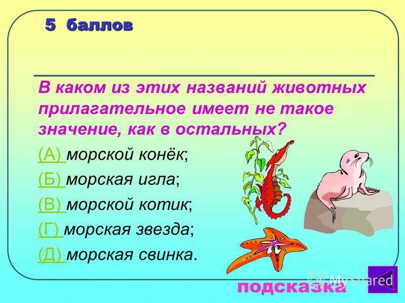 Значение условия выбери ответ. Значение условия выбери ответ
