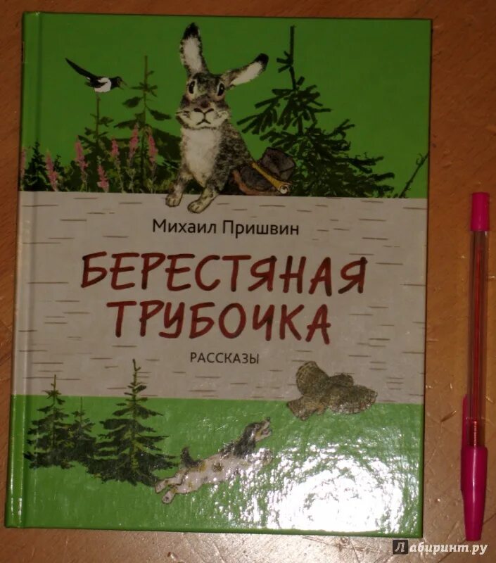 Рассказ берестяная трубочка. Пришвина берестяная трубочка. Книги Пришвина берестяная трубочка.