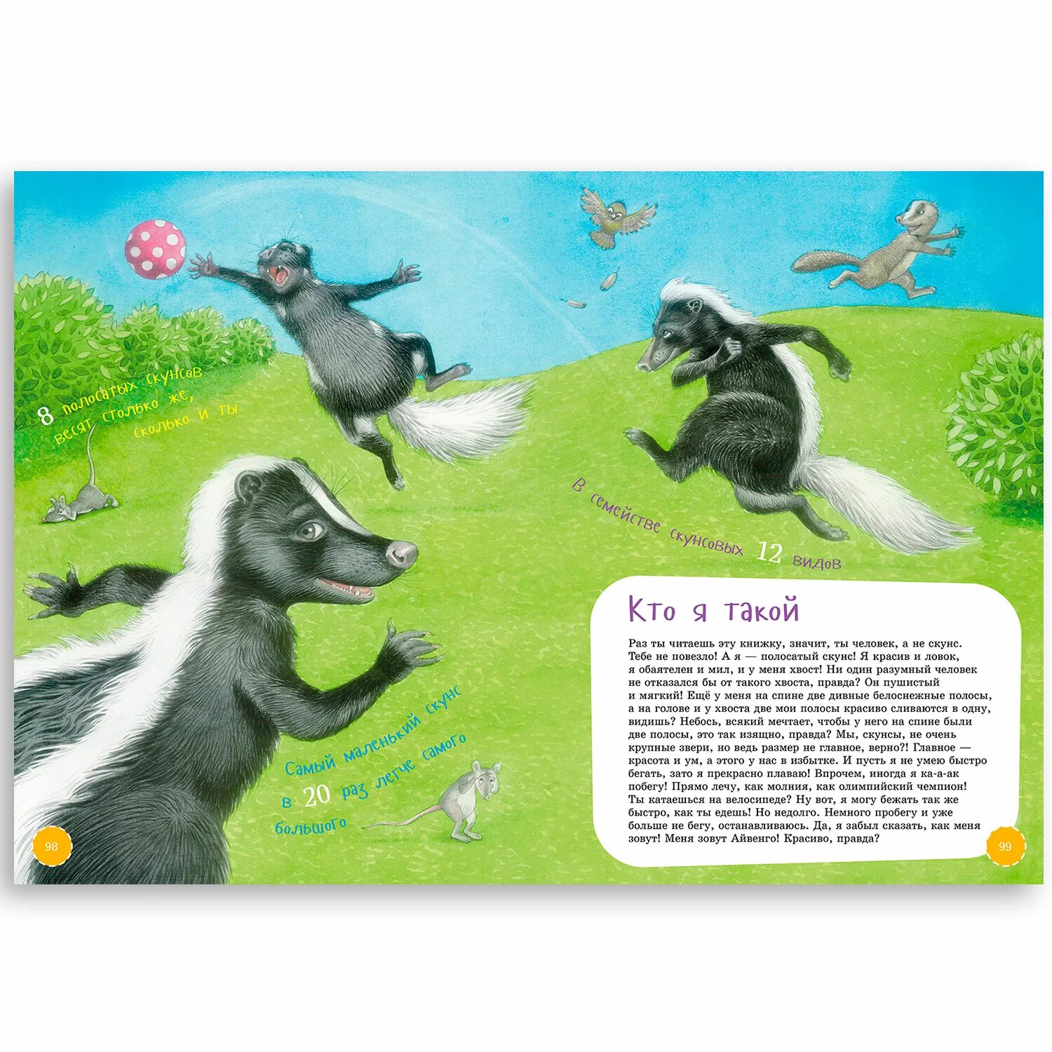 Я скунс книга. Скунс. Я скунс. Скунс и барсук книга. Скунс живет в северной америке.
