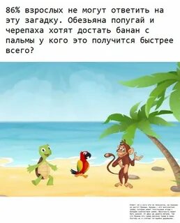 Загадка обезьяна