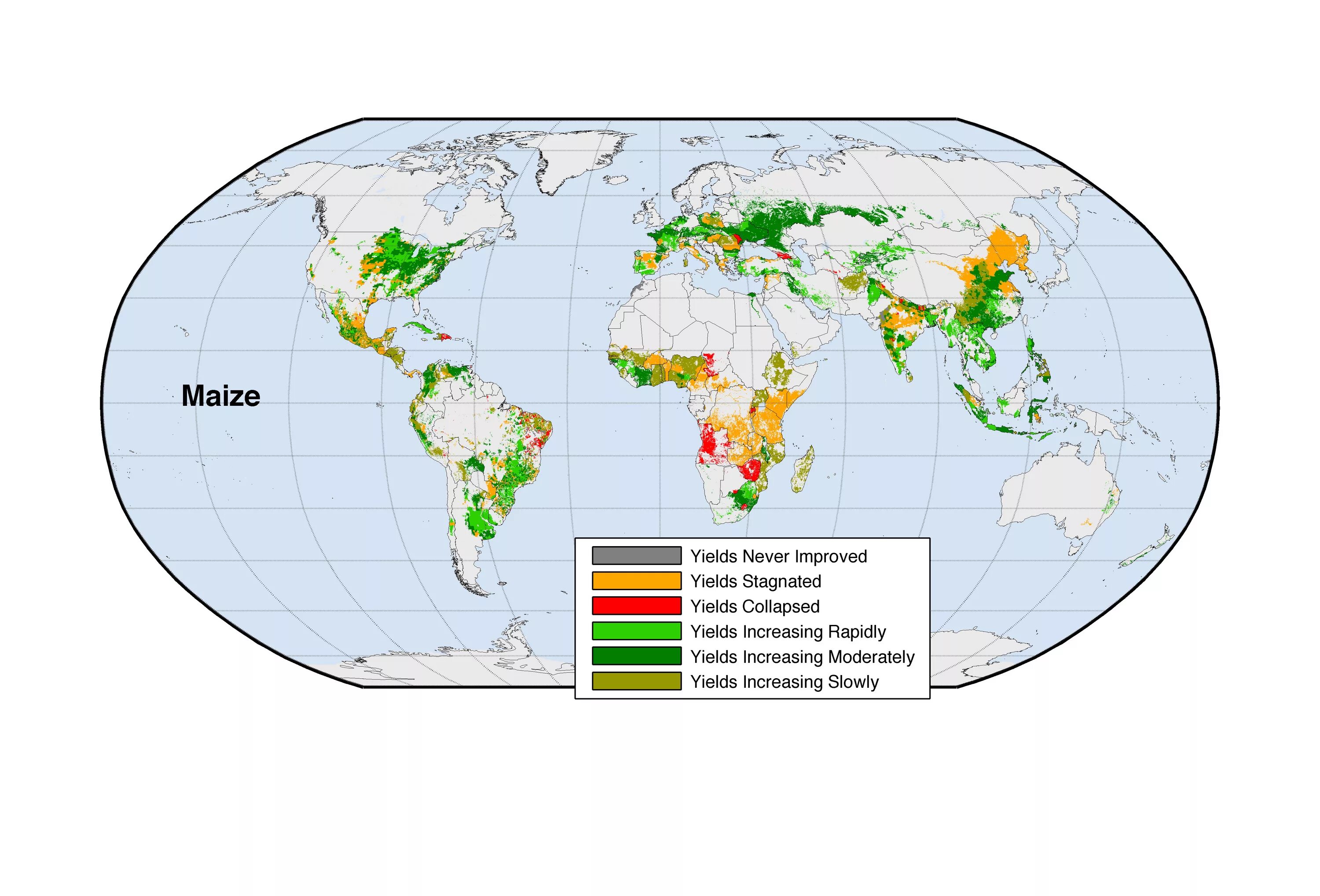 Рис главные страны. Карта произрастания пшеницы. Где растет пшеница в мире карта. Распространение пшеницы в мире. Ареал пшеницы в мире.
