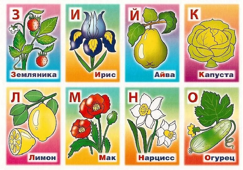 Пять букв вторая а есть б