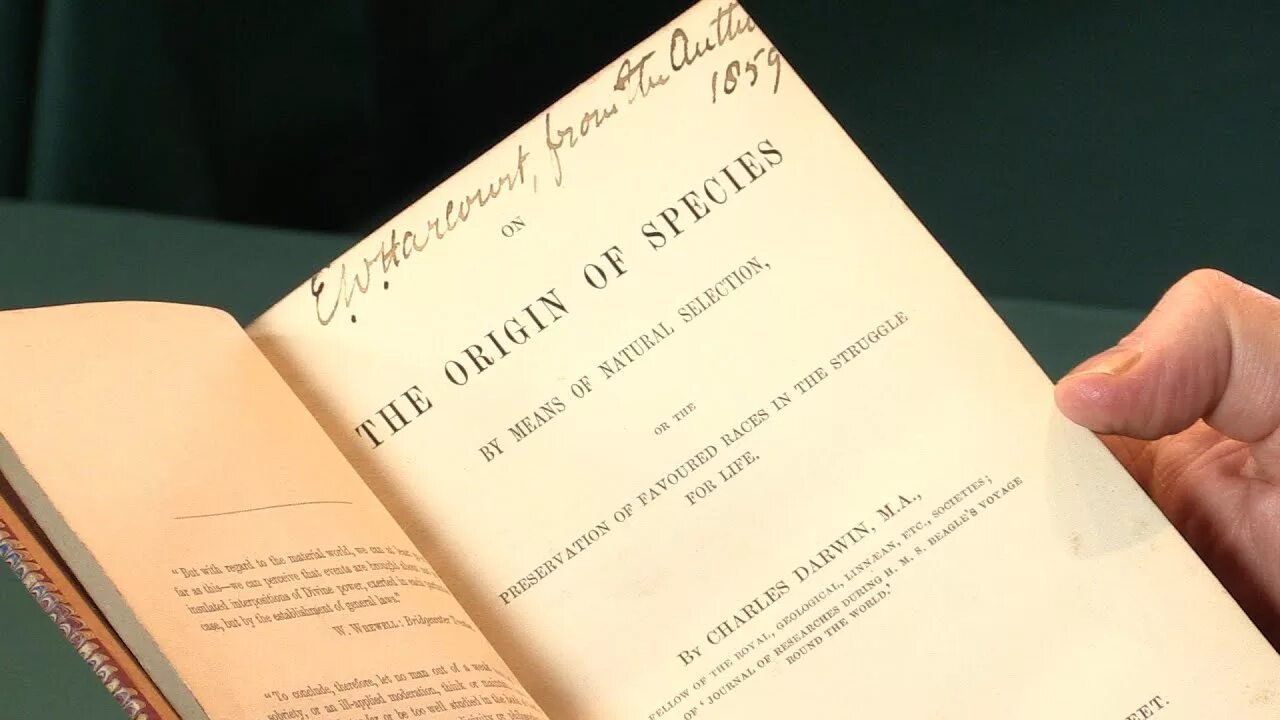 What is the origin of. What is the origin of