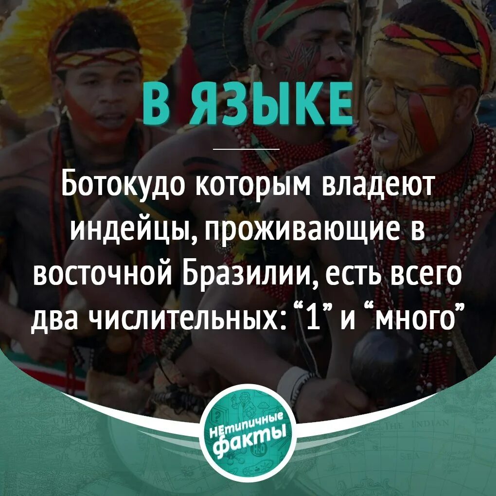 Какой нибудь предок мой был