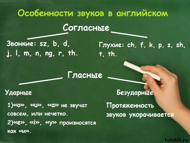 Звонкие согласные и гласные в английском языке. Звонкие и глухие в английском языке. Звонкие согласные звуки в английском языке. Английские буквы гласные глухие. Глухой на английском