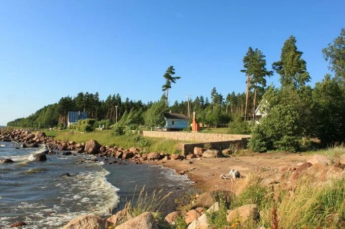 Осиновая роща ленинградская область. Погода вязы ленинградская область. Поселок вязы. Погода вязы ленинградская область. Осиновая роща лес.