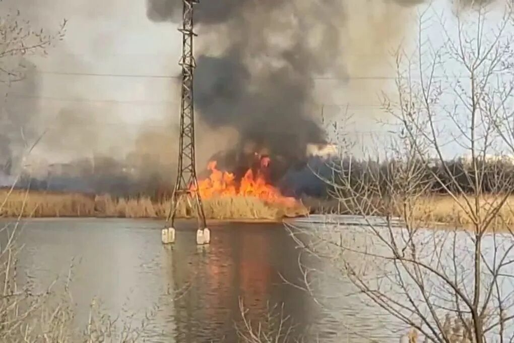 Взрыв на левом берегу. Ландшафтный пожар. Лесные пожары. Пожары на спортивных объектах. Воронеж пожар сейчас на левом берегу.