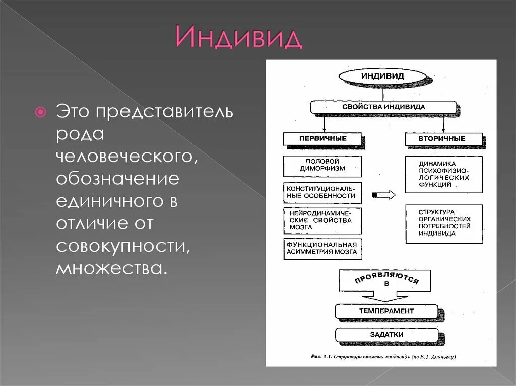 Свойства индивида. Характеристики индивида. Особенности человека как индивида. Характеристика как индивида.