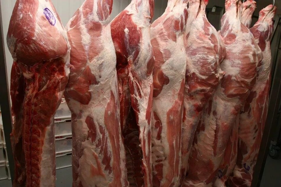 какая сегодня мясо